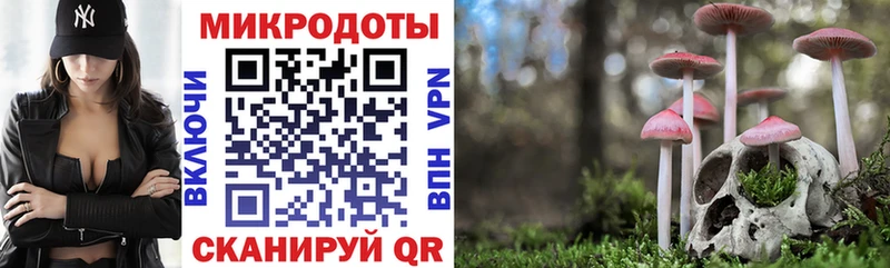 Псилоцибиновые грибы Psilocybe  купить закладку  Ростов-на-Дону 